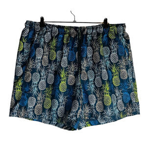 DSG Mens Sz 2XL Swim Trunks Lined Blue Pineapple Fruit Pockets Elastic Waist
